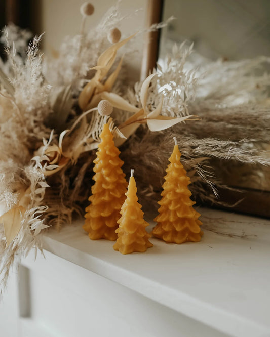 Beeswax Tree Candles