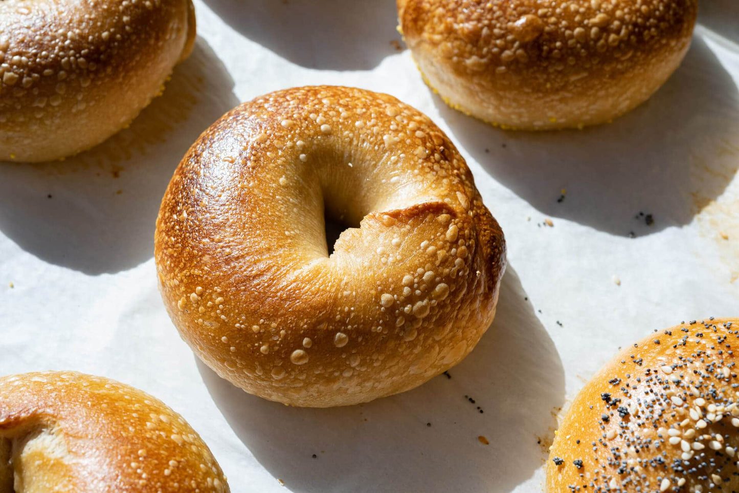 Organic Sourdough Bagels