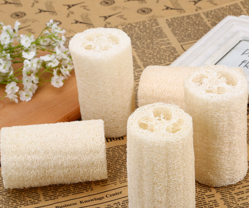 Luffa Sponge